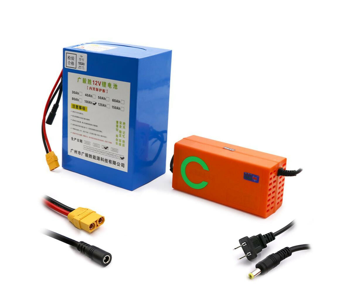 Lithium-Polymer Battery | 12V 100Ah & Charger, 2000 Cycle