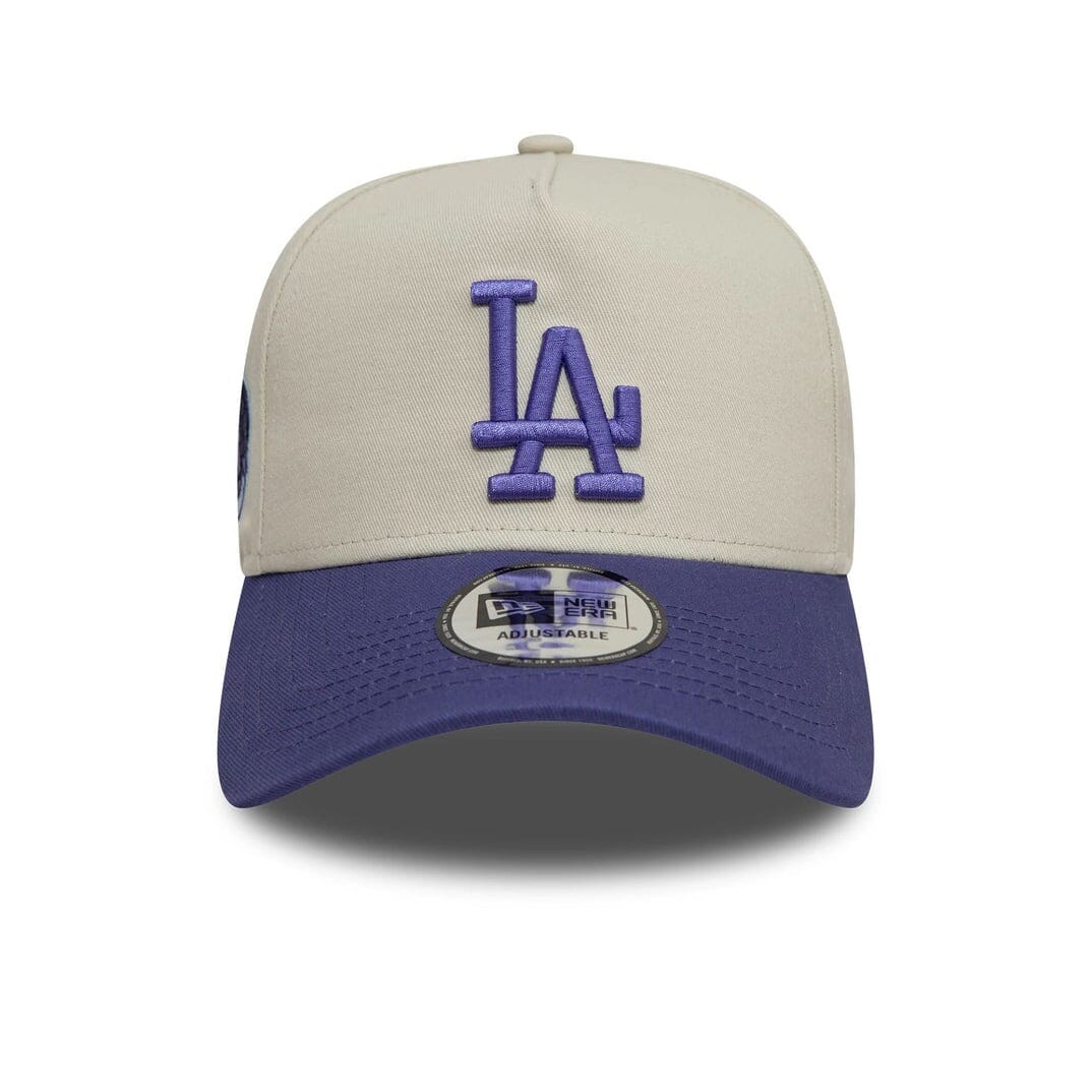 NEW ERA WS PATCH E FRAME LOSDODCO IVOIPU