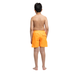 Pacifico Swim Boys Shorts - Orange