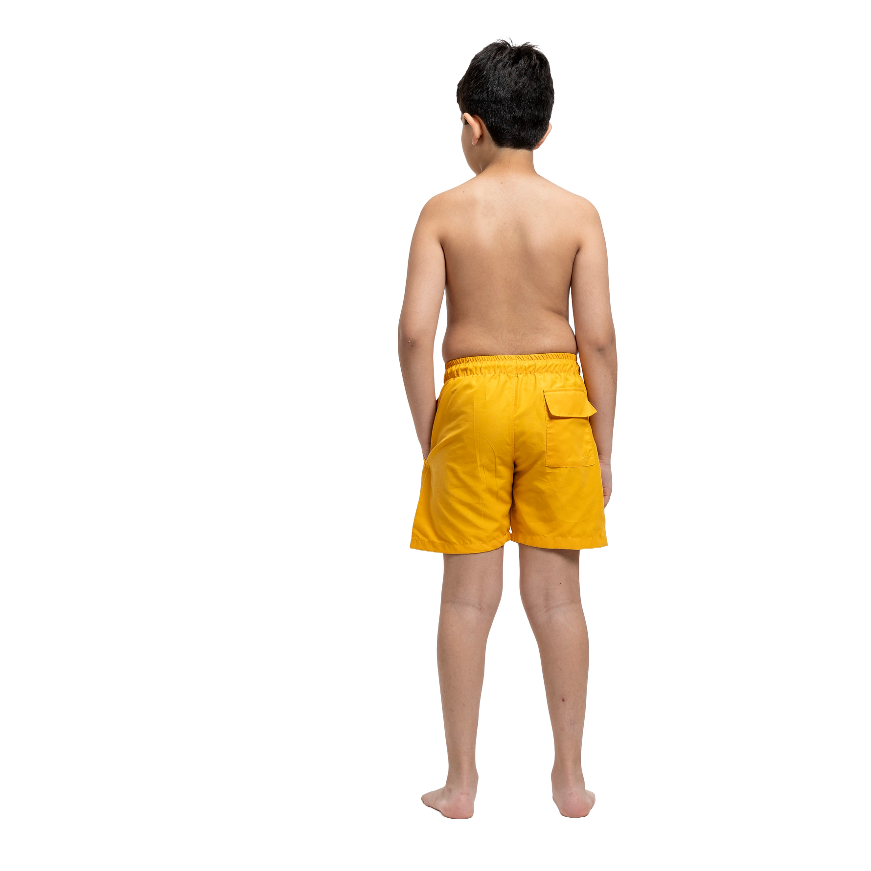 Pacifico Swim Boys Shorts - Mustard Yellow
