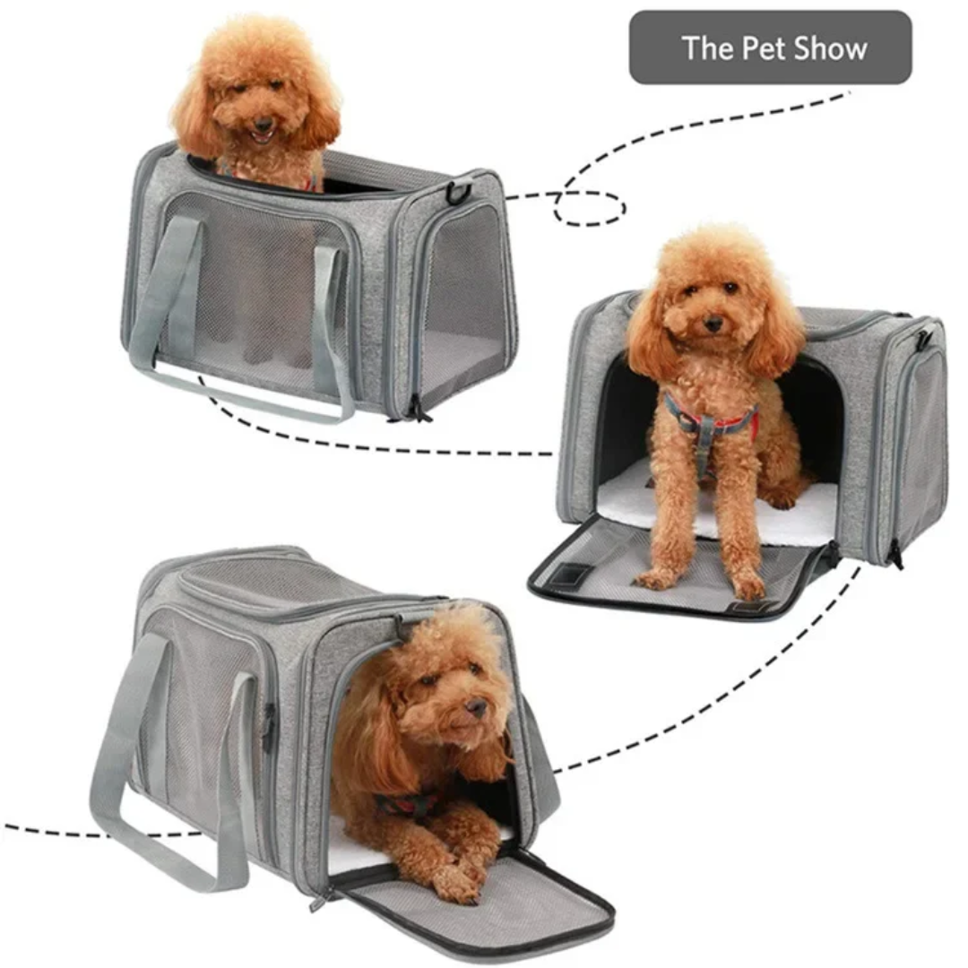 Pet Carrier Airline Approved