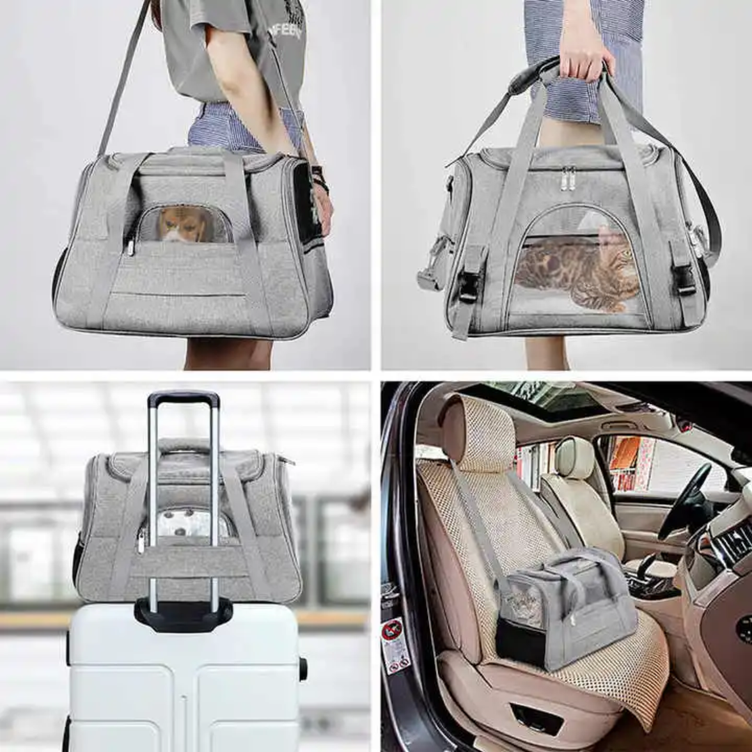 Pet Carrier Airline Approved