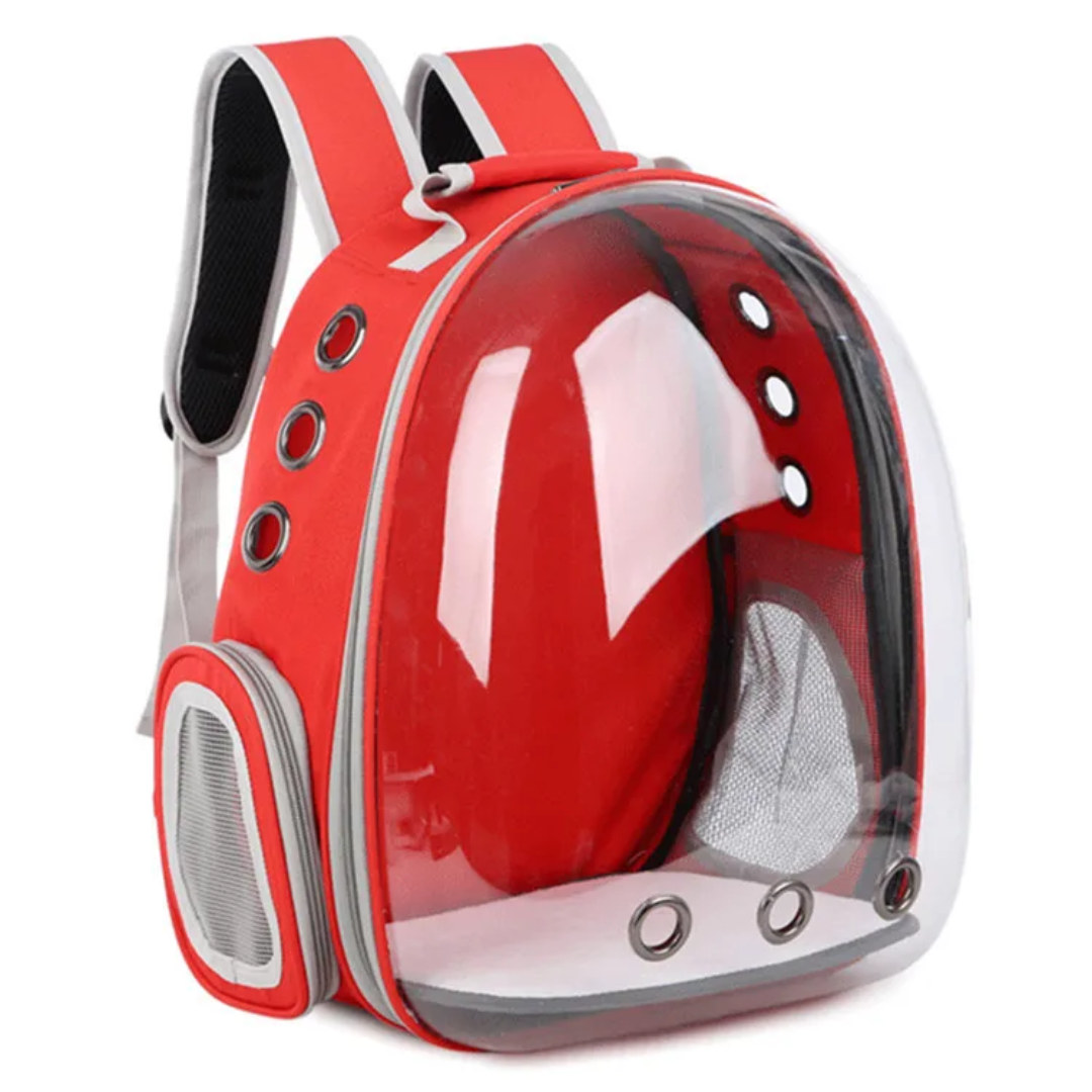 Pet Transparent Portable Carrier
