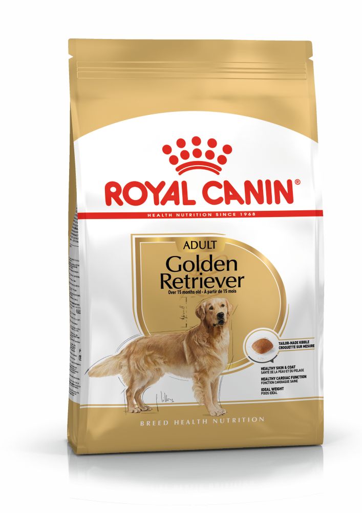 Golden Retriever Adult (12kg)