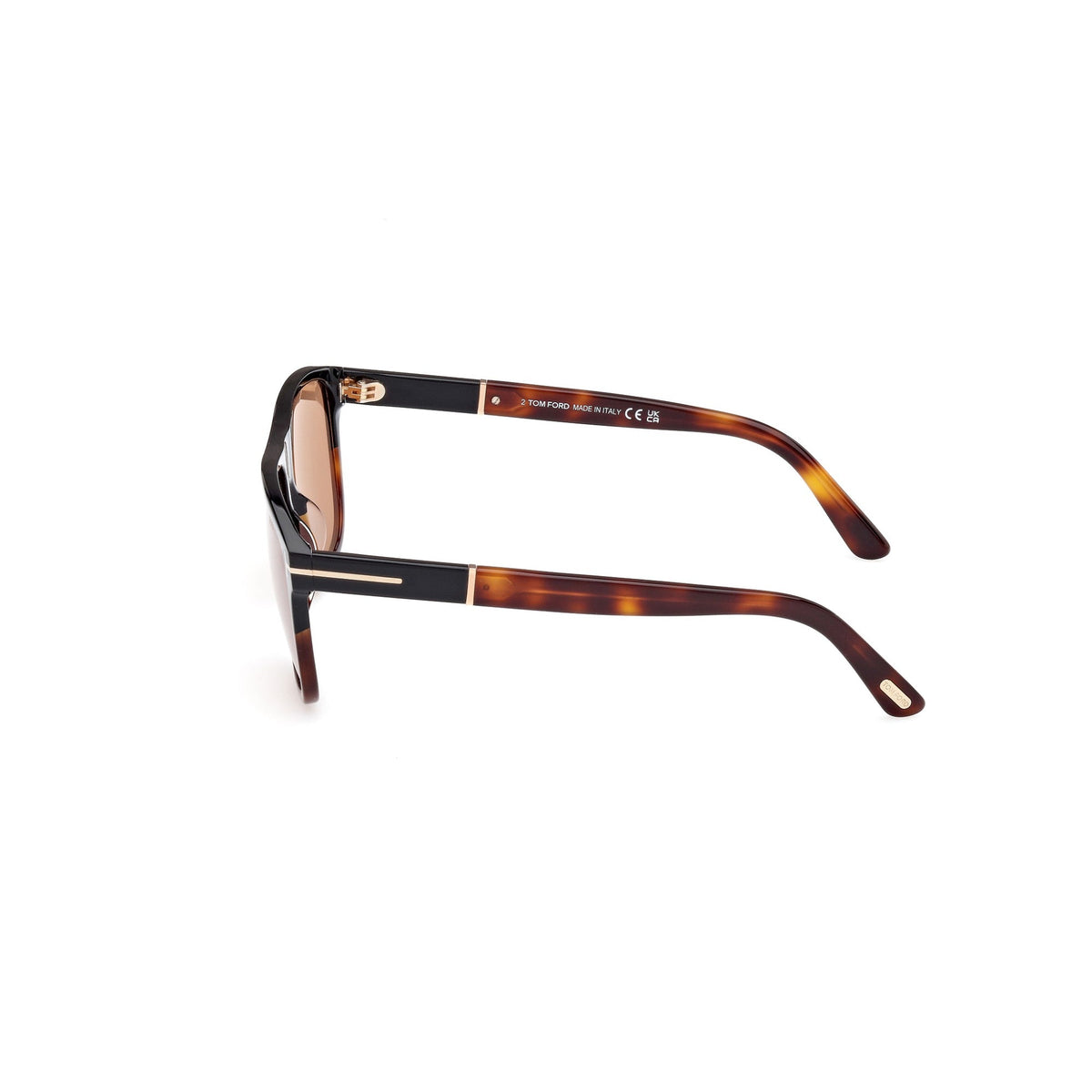 Havana-framed glasses on a white background