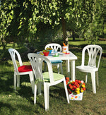 Sienna Dining Chair