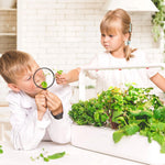 Click and Grow - The Smart Garden 9, Dark Grey