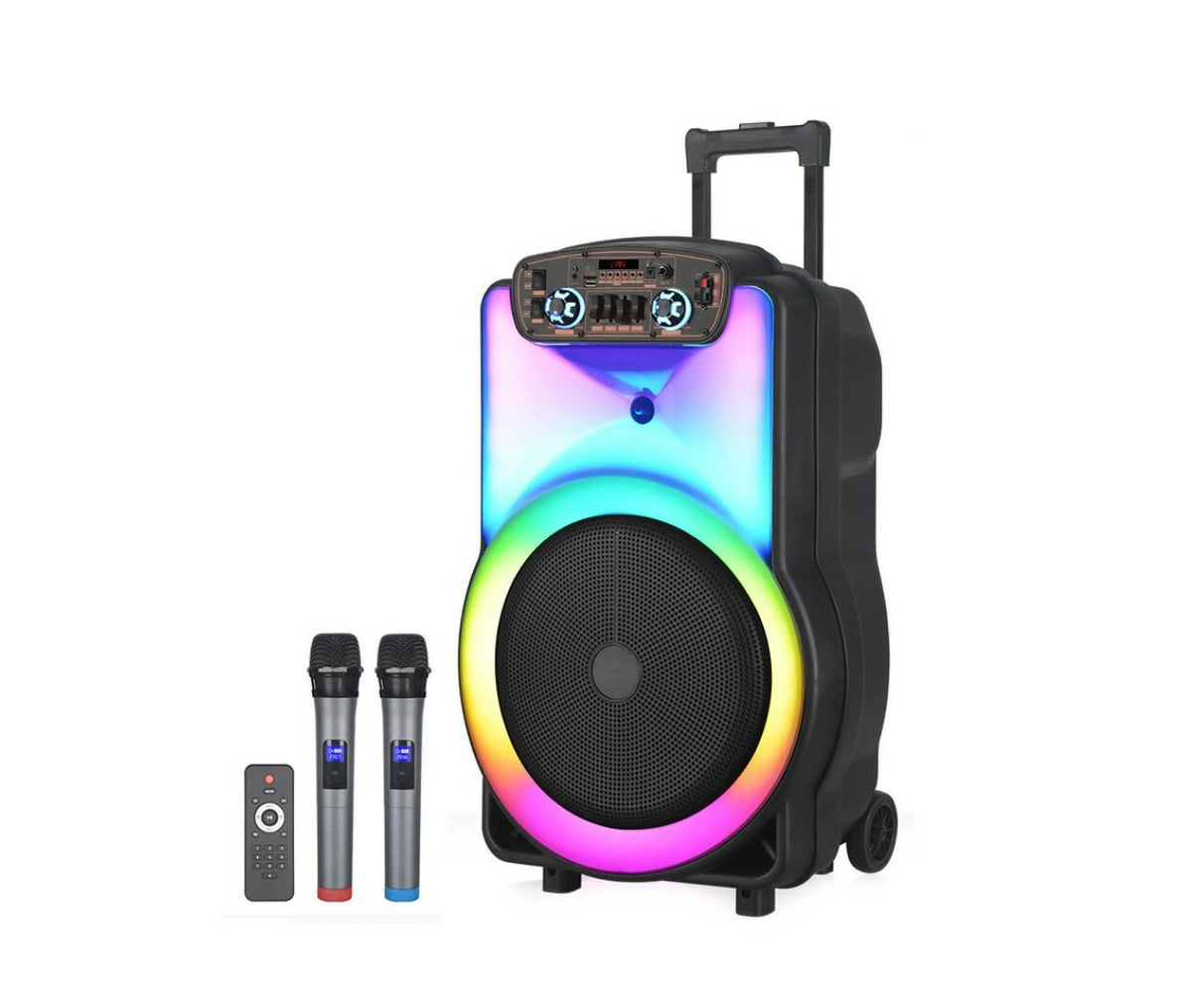 Portable Speaker | Amplifier | 15" | USB & Bluetooth & Radio | NDR-Y15