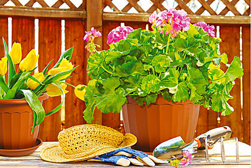 Toscana Flowerpot