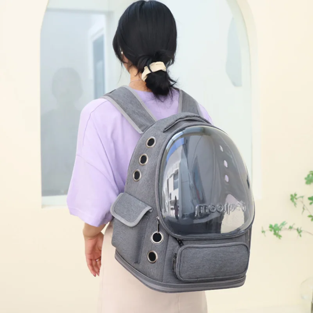 Traveling Pet Bag Carrier