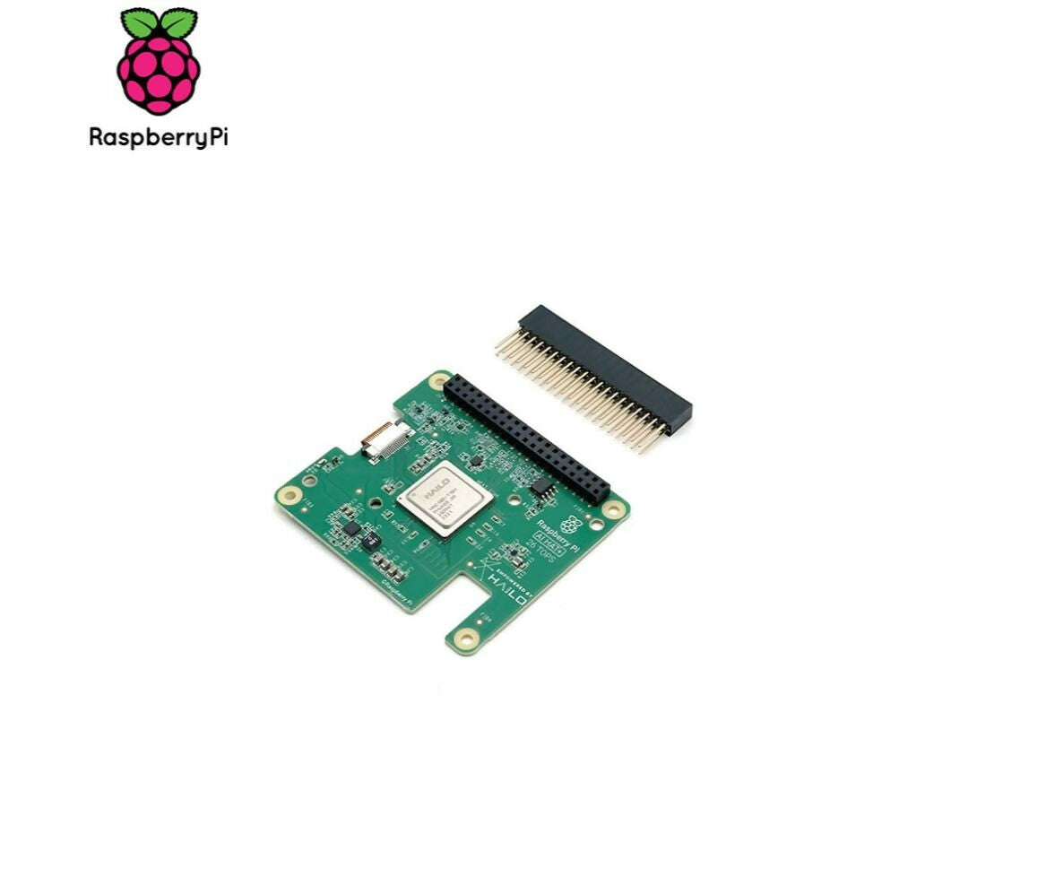 Dev Board | Raspberry Pi AI HAT