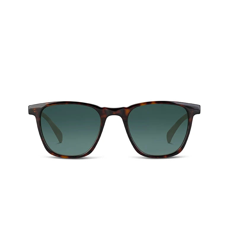 A pair of square sunglasses with a dark tortoiseshell frame and dark green lenses, shown from the front on a solid white background.