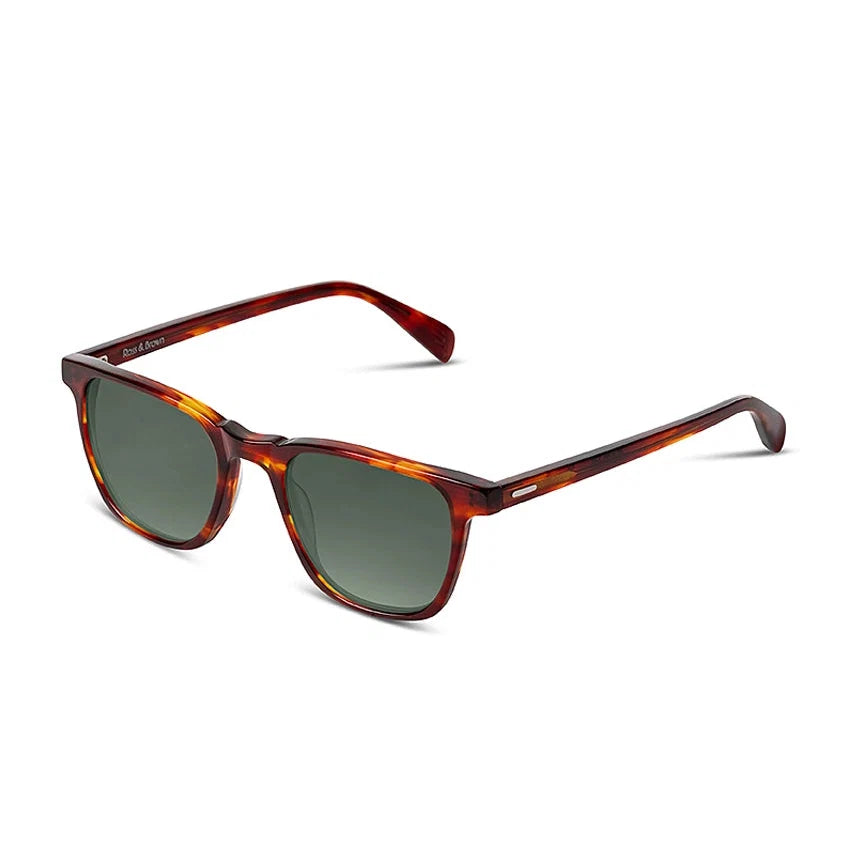 Sunglasses with tortoiseshell frame on a white background
