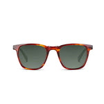 Square sunglasses with tortoise frame on a white background. 