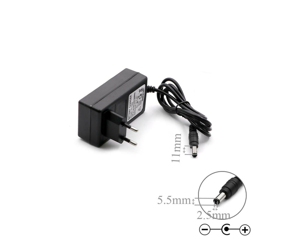 Charger Battery | Lead Acid | Automatic | 12V 2A | Plug