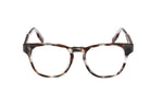 Round havana eyeglasses on a white background. 