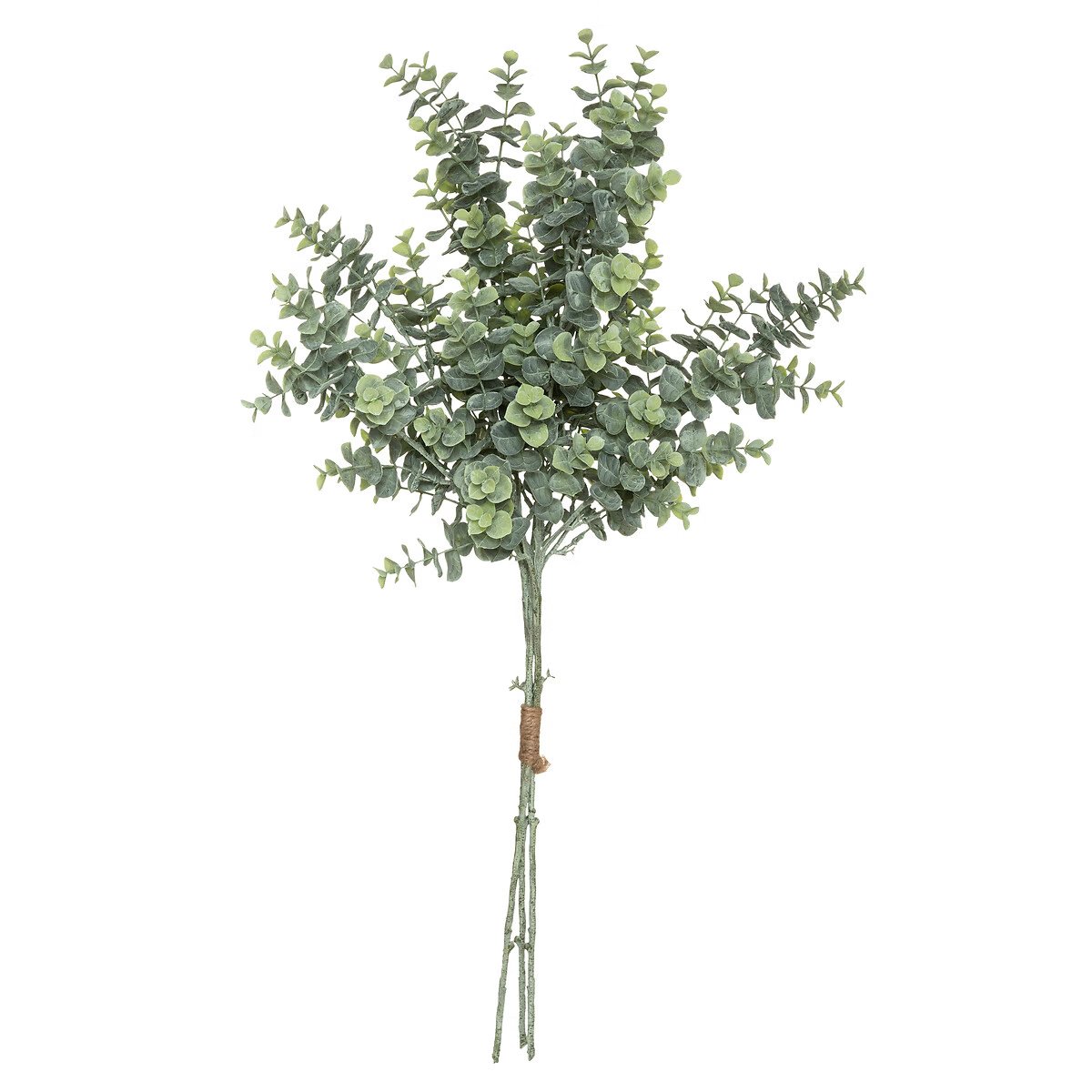 EUCALYPTUS BOUQUET