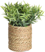 Artificial Plant in Seagrass Pot, 23cm