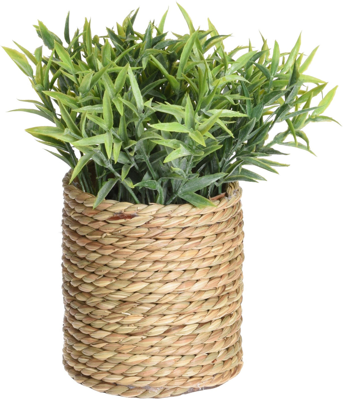 Artificial Plant in Seagrass Pot, 23cm