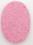 Long Cleansing Sponge