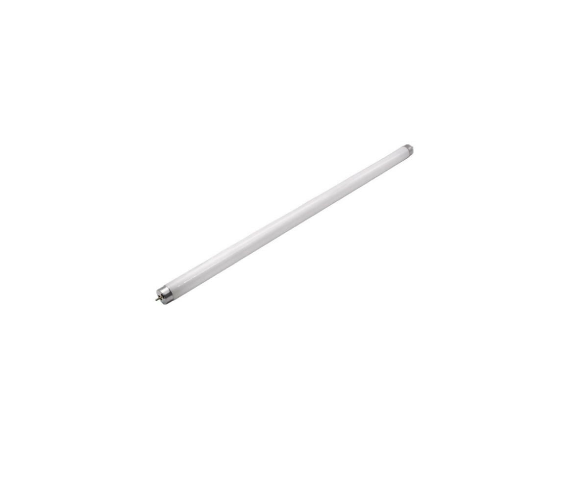 Neon Lamp | Tube | T8 | 20W | 60cm