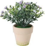 FLOWER IN POT Decorative Plant - 15 cm