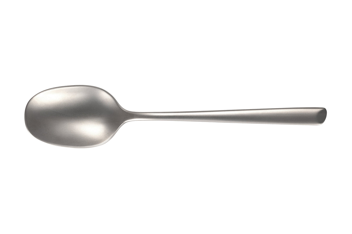 Stainless Steel Tablespoon with Sandblasted Finish, 20 cm Silver Kitchen Spoon