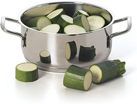 Stainless Steel Cooking Pot with Dual Handles
