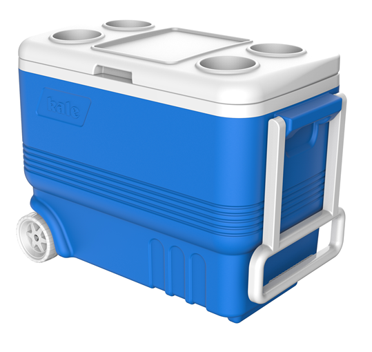 Wheeled Cooler Box 45L for Camping & Outdoor Activities