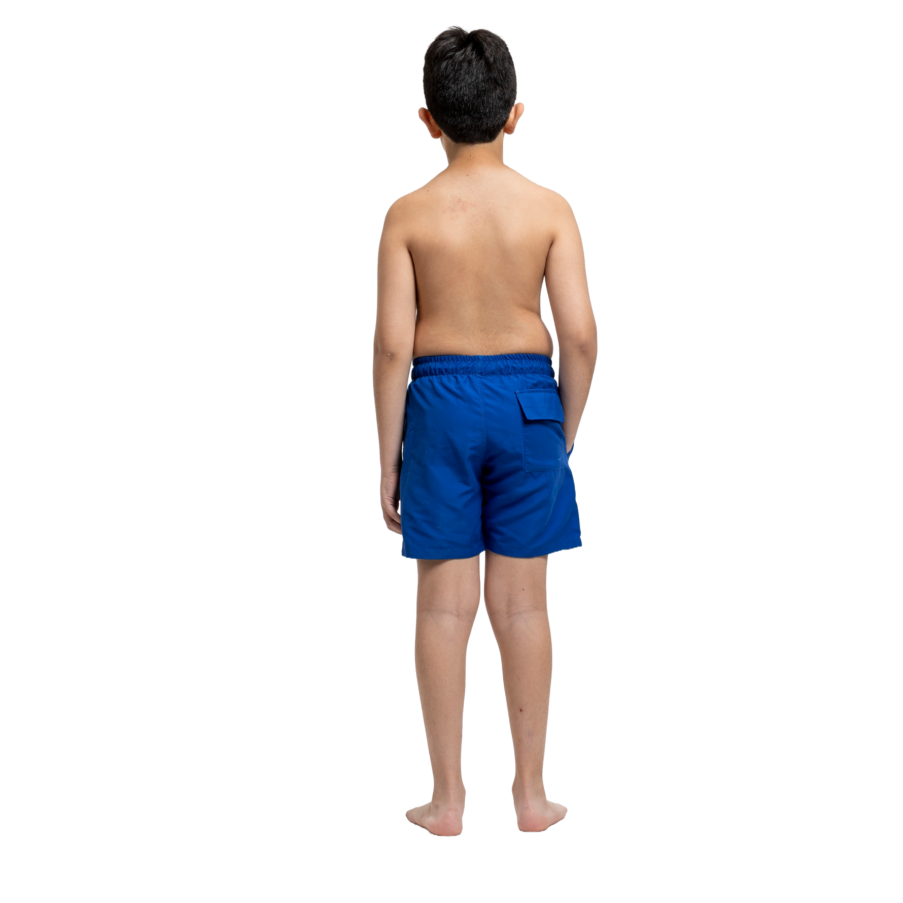 Pacifico Swim Boys Shorts - Blue