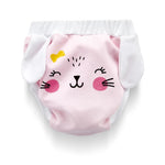 Babyjem Lux Training Underwear (Age 2) Assorted