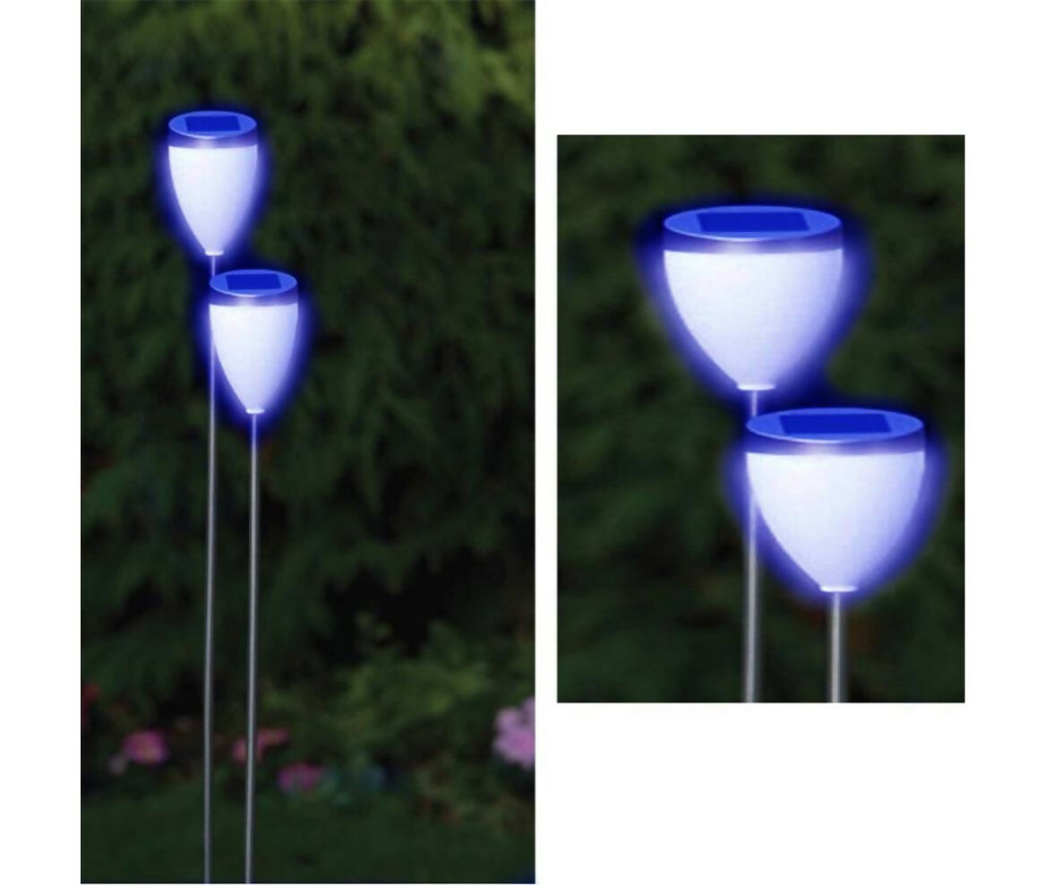 Exterior LED Light Set | Solar Powered Built-in Battery | Spike Tulip | RGB | 2pcs