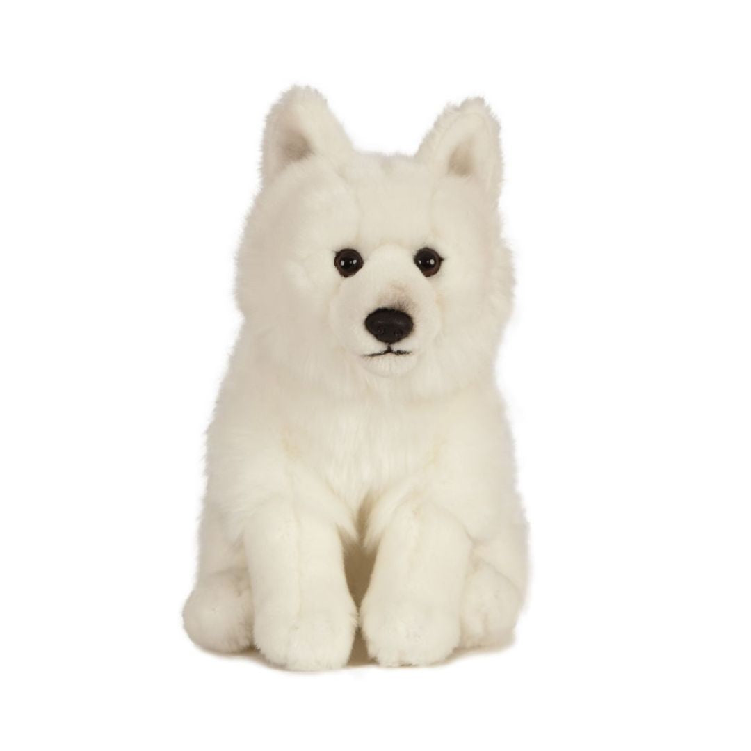 Living Nature Living Earth Arctic Fox