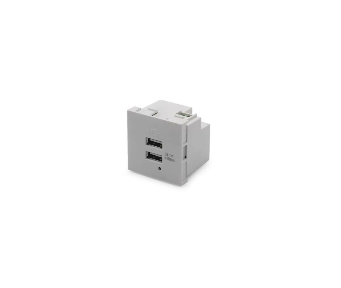 Wall Plate Module | 2x USB