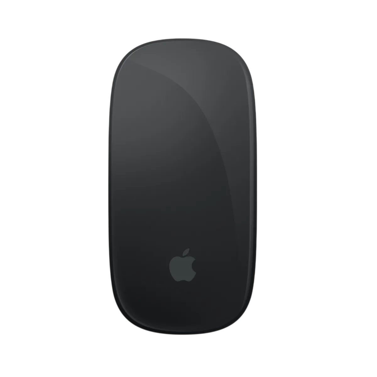 Apple (MXK63AM/A) A3204 Magic Mouse 2 - USB-C to USB-C - BT Wireless - Black