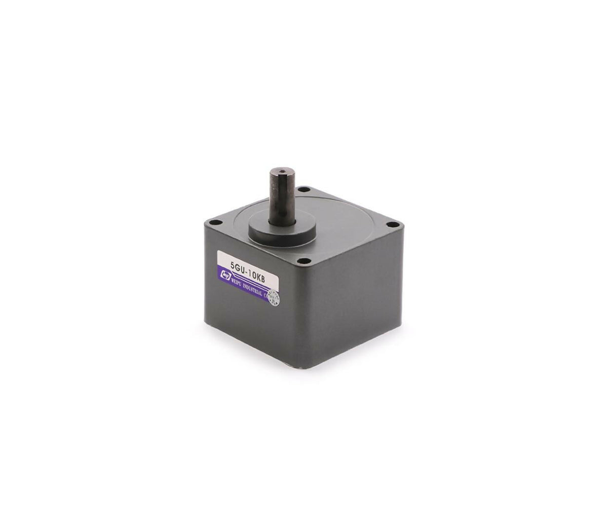Induction Motor | Gearbox | 5GU | 1:10