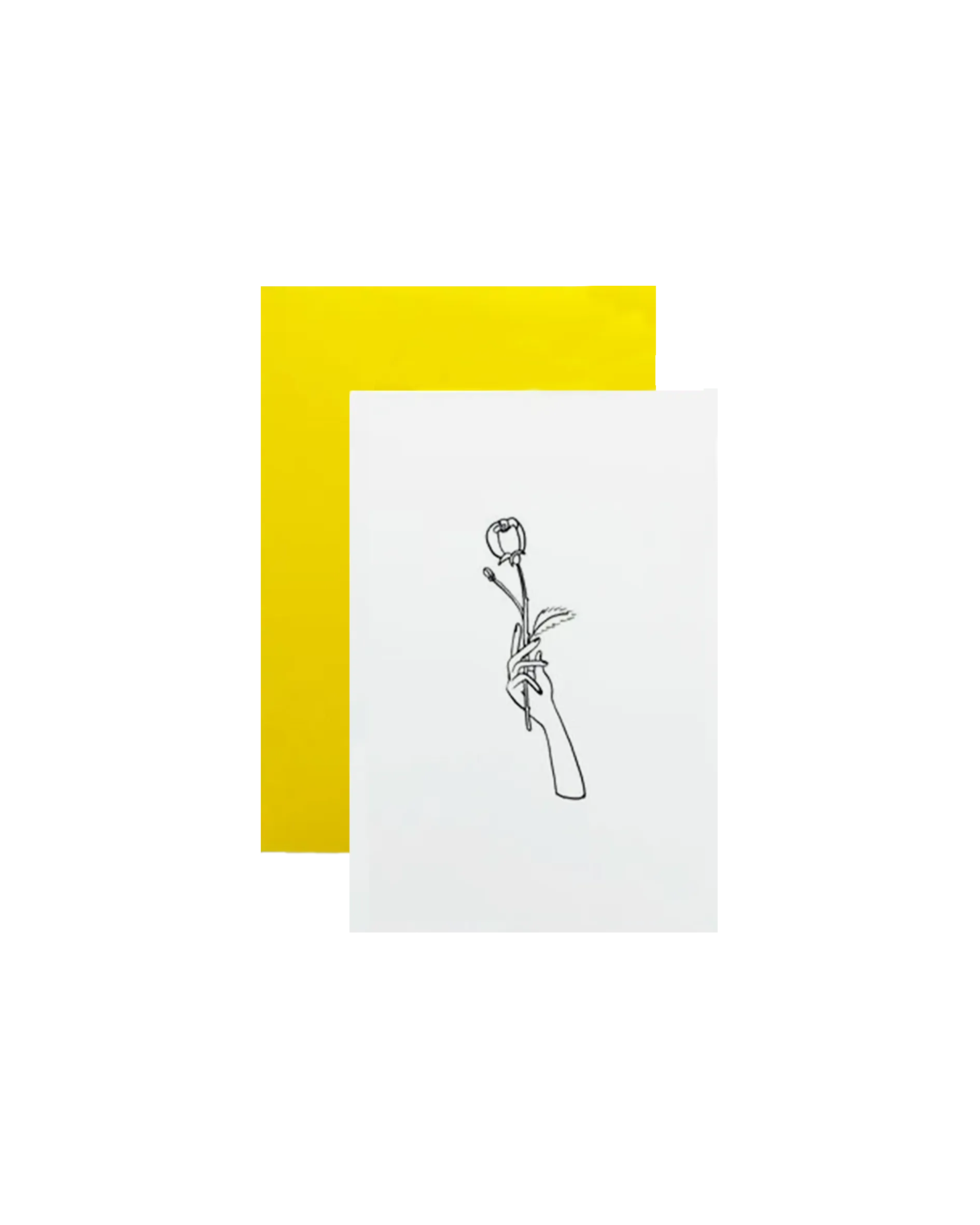 SINGLE ROSE Greeting Card