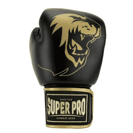 SUPER PRO COMBAT GEAR WARRIOR SE LEATHER (KICK) BOXING GLOVES