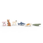 Speedy Monkey World Animals – Oceania
