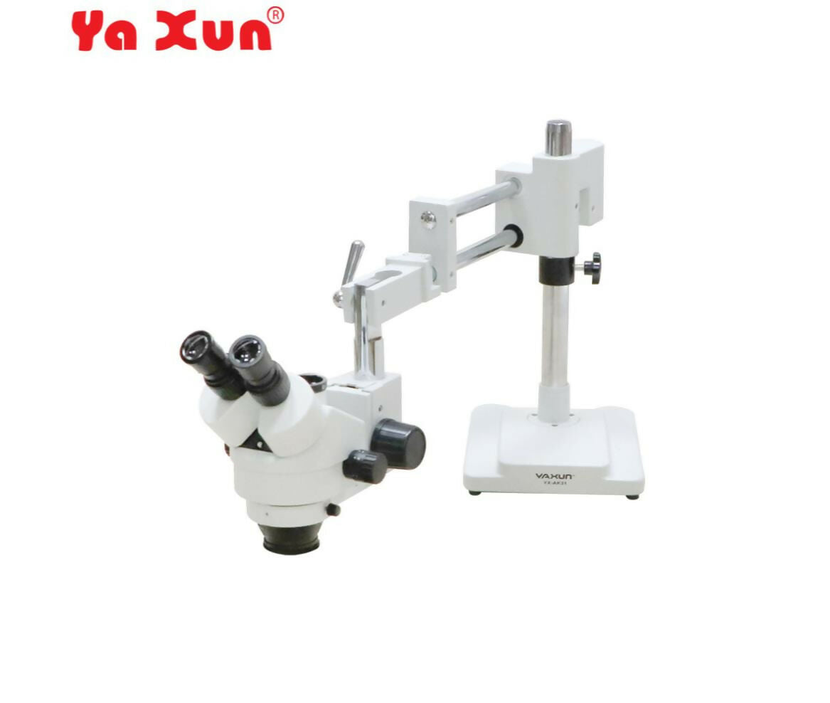 Microscope | Stereoscope | AK31-A - YaXun