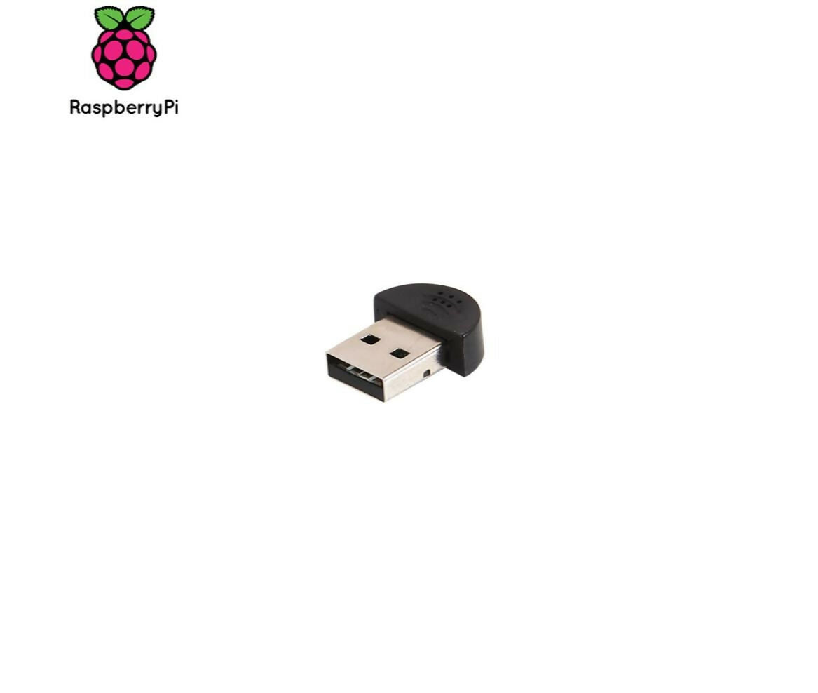 Raspberry Pi Module | Microphone Mini
