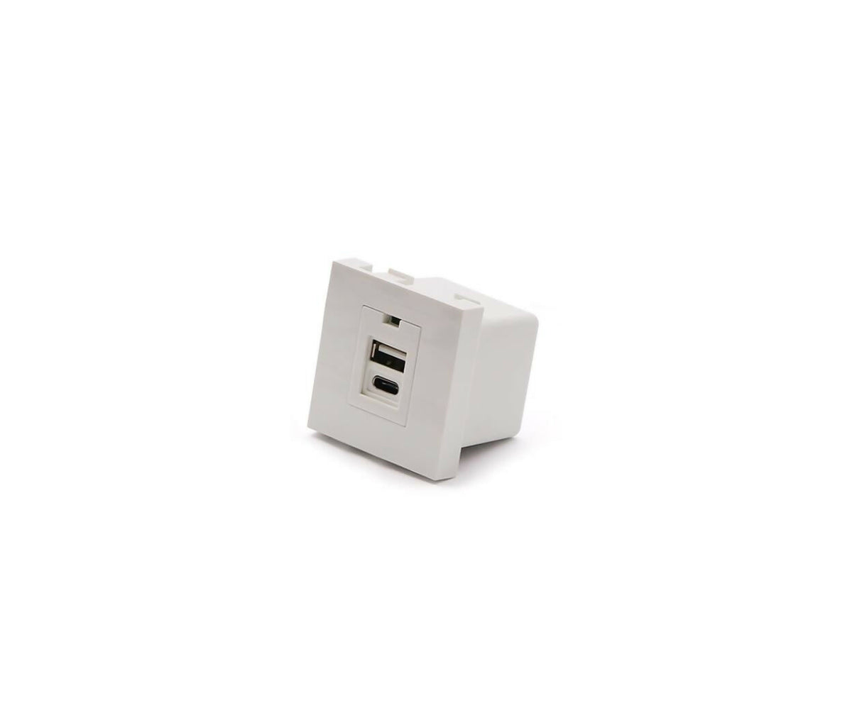 Wall Plate Module | USB & Type-C