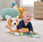 3-in-1 Puppy Tummy Wedge